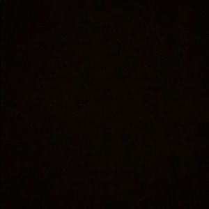 Meet your Posher, Silvia